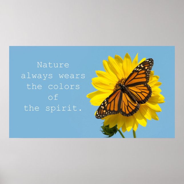 Póster Colores de espíritu (Frente)