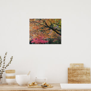 Póster Colores de hojas de la temporada de otoño Botánico