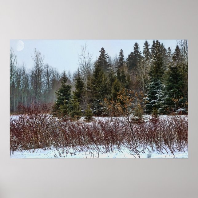 Póster Colores de invierno (Frente)