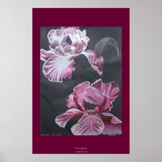 Póster Colores de Iris (Frente)