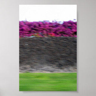 Póster colores de kona