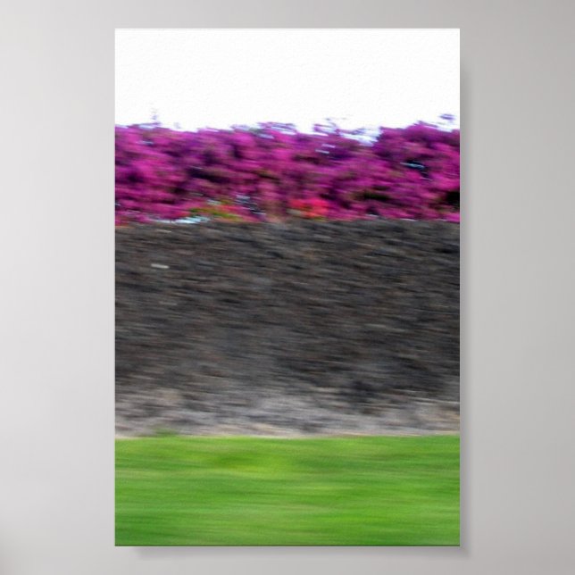 Póster colores de kona (Frente)