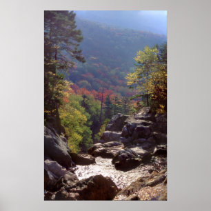 Póster Colores de la caída de New Hampshire