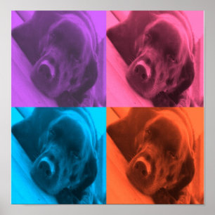 Póster colores de Lab poster