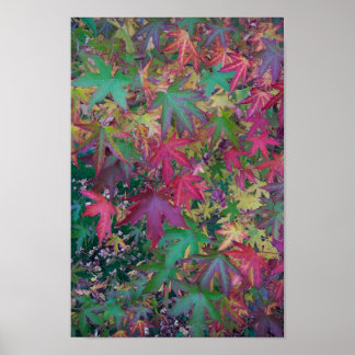 Póster Colores de otoño