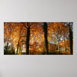 Póster Colores de otoño