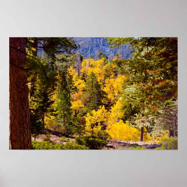 Póster Colores de otoño 6 Poster (Frente)