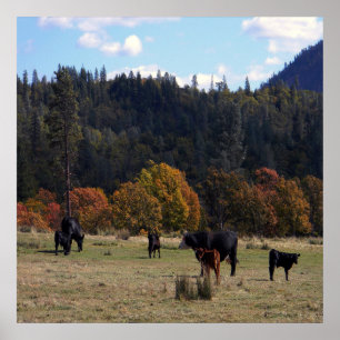 Póster Colores de otoño con el rebaño...