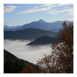 Póster Colores de otoño con niebla matutina......