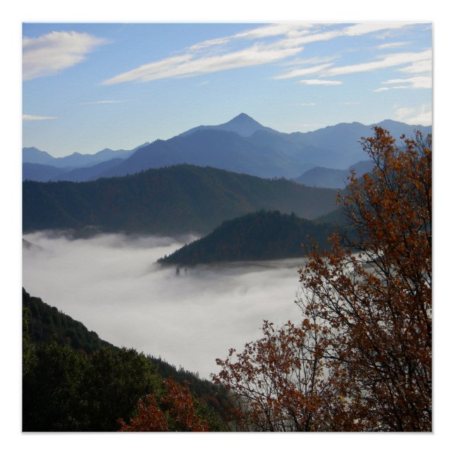 Póster Colores de otoño con niebla matutina...... (Anverso)