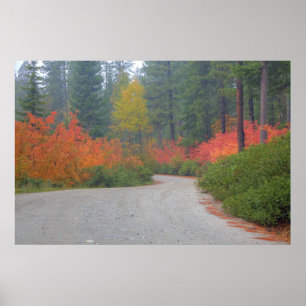 Póster Colores de otoño de bosques en The Cascade 4