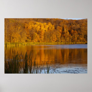 Póster Colores de otoño en Maplewood State Park cerca