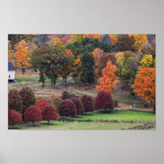 Póster Colores de otoño en Massachusetts 