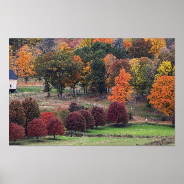 Póster Colores de otoño en Massachusetts  (Frente)