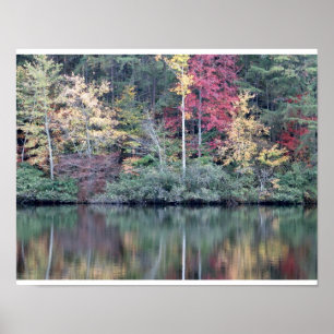 Póster Colores de otoño en Tennessee