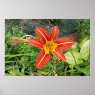 Póster colores de verano