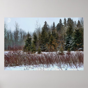 Póster Colores del invierno
