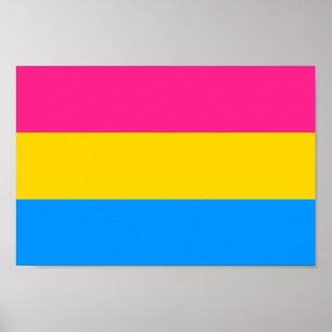 Póster Colores del Orgullo Pansexual