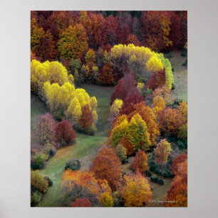 Póster Colores del otoño