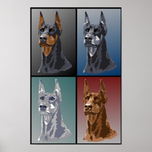 Póster Colores Doberman