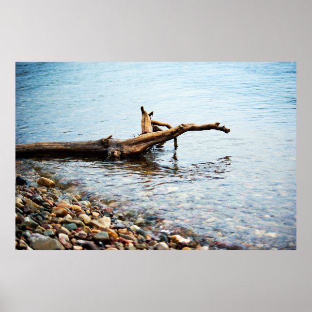 Póster Colores Imprimir (Frente)