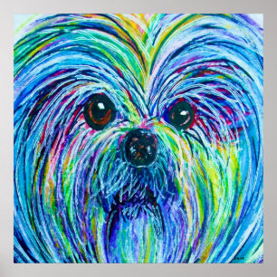 Póster Colores intensos Shih Tzu