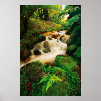 Póster Colores naturales exuberantes