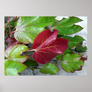 Póster colores otoñales