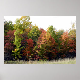 Póster Colores otoñales de Cleveland (parque)