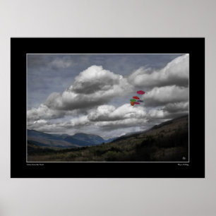 Póster Colores por encima de la aleta