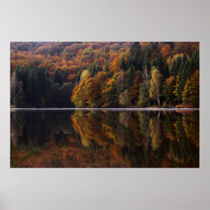 Póster Colores reflejados