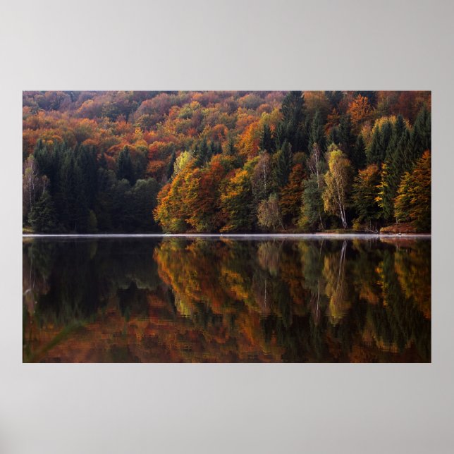 Póster Colores reflejados (Frente)