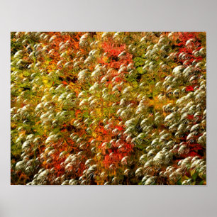 Póster Colores Resumen Y Burbujas