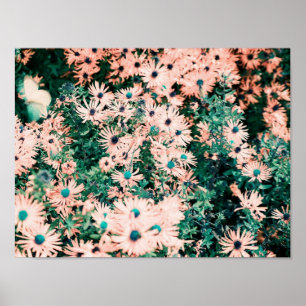 Póster Colores únicos de flores silvestres