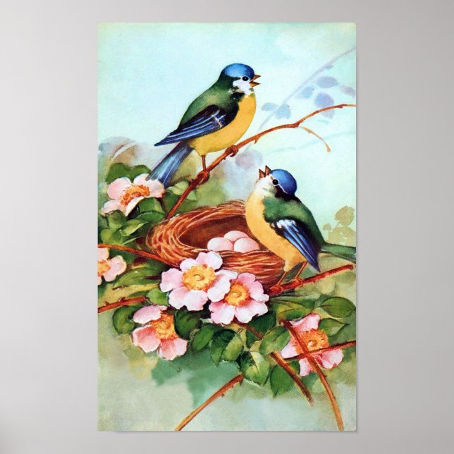 Póster Colorful Birds in Springtime Poster (Frente)