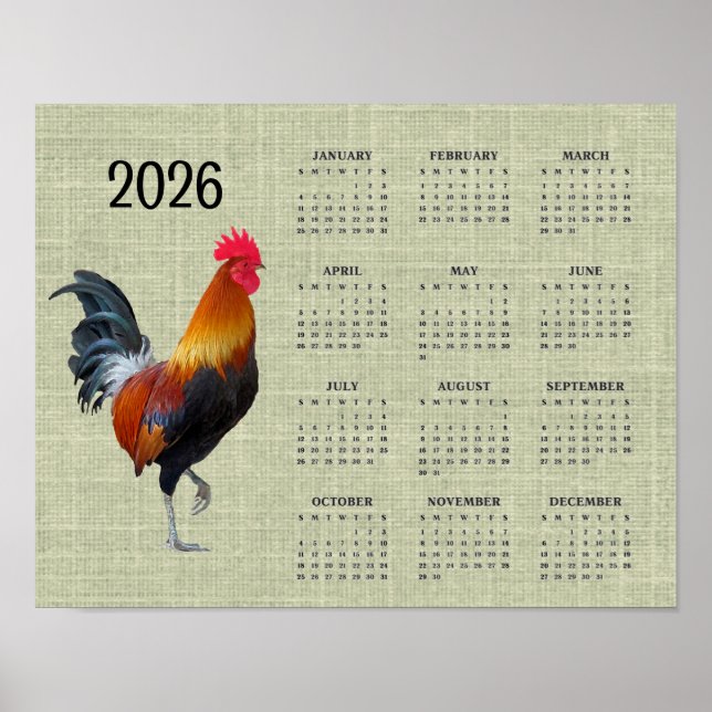 Póster Colorful Strutting Rooster 2026 Calendar Poster (Frente)