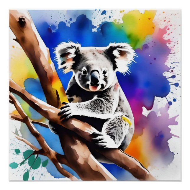 Póster Colorida Esplash acuático del oso de Koala, (Anverso)