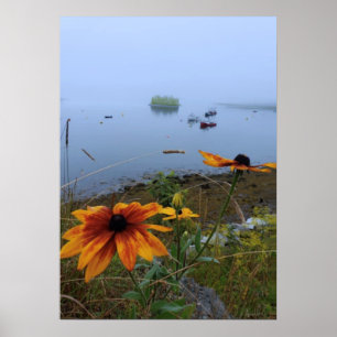 Póster Colorida margarita, Lubec Maine