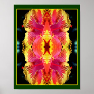 Póster Coloridas Flores Hibiscus Aceleran Resumen