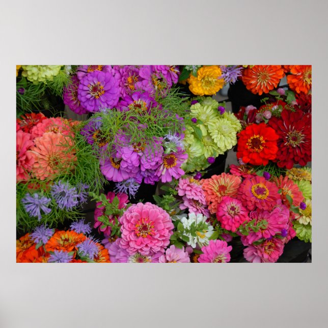 Póster coloridas mareas (Frente)