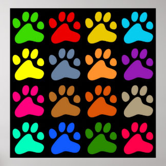 Póster Coloridas Paws