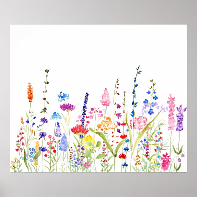 Póster colorido campo de flores silvestres (Frente)