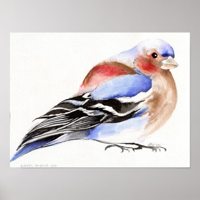 Póster Colorido Chaffinch 2011 (Frente)