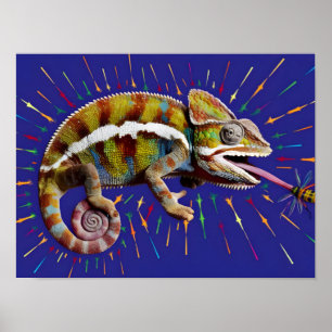 Póster Colorido Chameleon