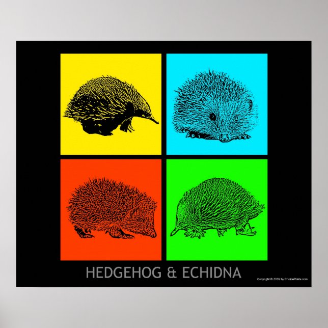 Póster Colorido Erizo y Echidna (Frente)
