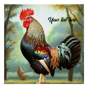 Póster Colorido gallo de Wyandotte