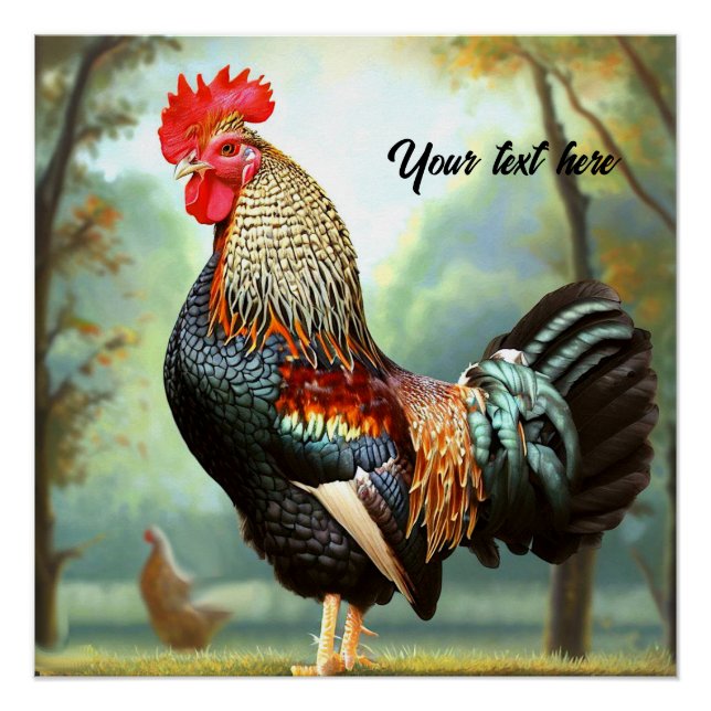 Póster Colorido gallo de Wyandotte (Anverso)