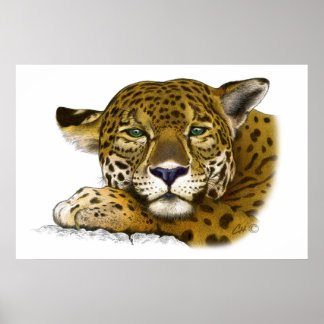 Póster Colorido jaguar