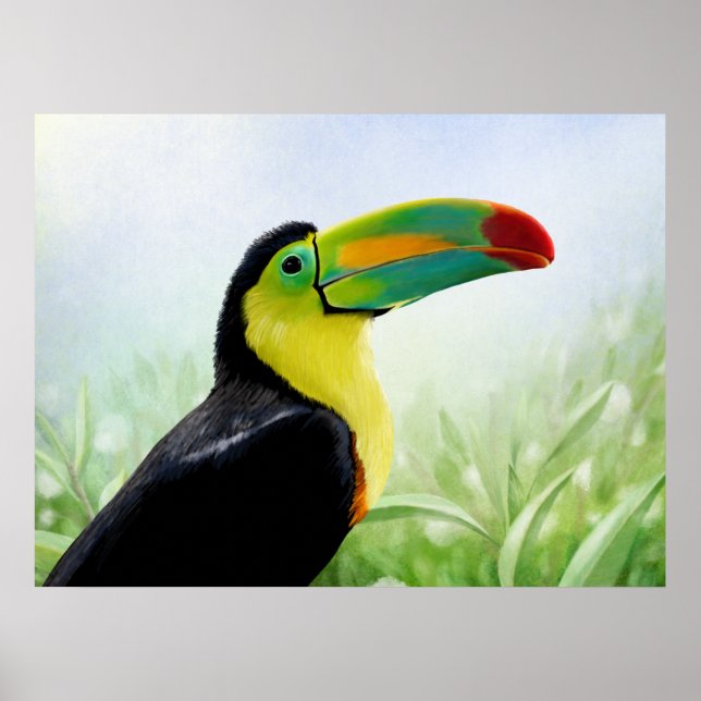 Póster Colorido pájaro tropical negro amarillo verde toca (Frente)