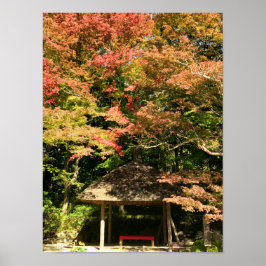 Póster Coloridos arboles de arce y casa de descanso